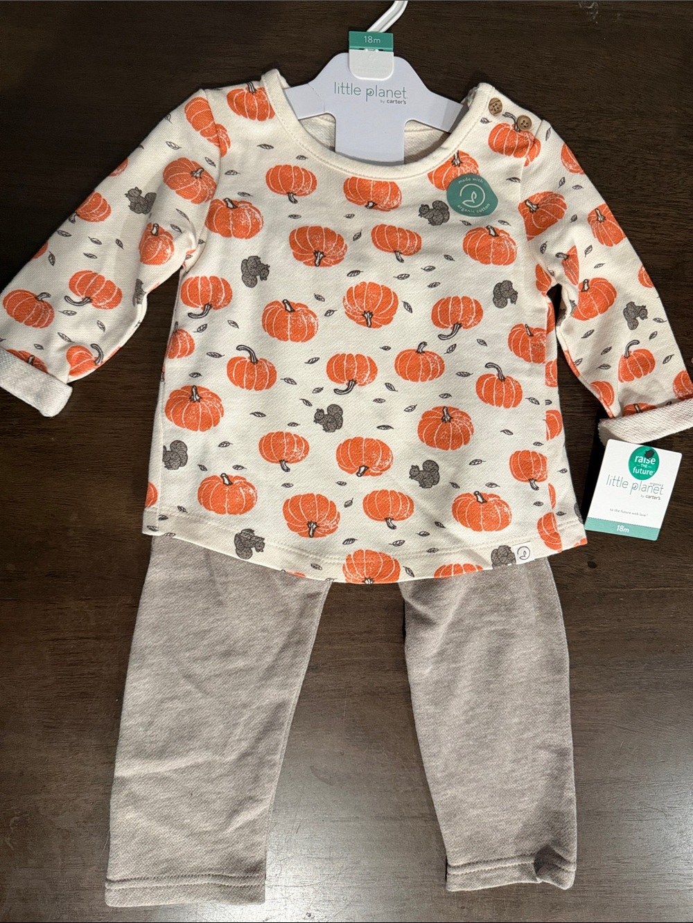 NWT Little Planet by Carters Set 18months